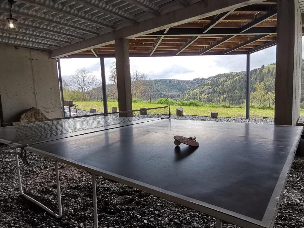 Maison D'Architecte En Pleine Nature Arlempdes Εξωτερικό φωτογραφία