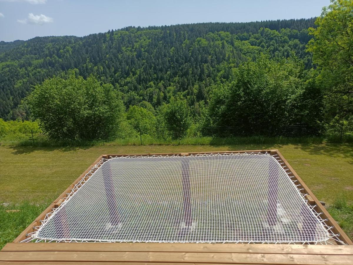 Maison D'Architecte En Pleine Nature Arlempdes Εξωτερικό φωτογραφία